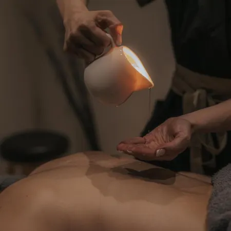 Shizen Wellness מלון